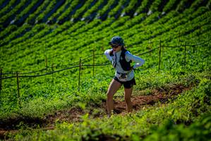 BIB: 
                            <button type="button" onclick="openModal(19160994)" class="btn btn-primary btn-sm float-right btn-popup" data-toggle="modal" data-target=".modal-high-quality">
                        <i class="fas fa-shopping-cart"></i> Add to Cart
                    </button>
                                            <button type="button" onclick="isThisMe(19160994, true)" class="btn btn-success btn-sm float-right btn-popup btn-isme hidden" data-toggle="tooltip" data-placement="bottom" title="นี่คือรูปของคุณใช่ไหม คลิกที่นี่เพื่อเอาเข้าอัลบั้ม">
                        <i class="fas fa-plus"></i> Add to album
                    </button>
                    <button type="button" onclick="isThisMe(19160994, false)" class="btn btn-warning btn-sm float-right btn-popup btn-isnotme hidden">
                        <i class="fas fa-ban"></i> Remove from album
                    </button>